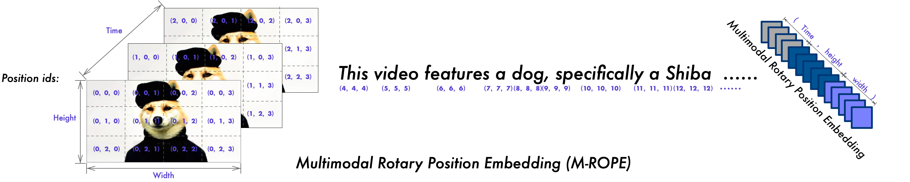 Fig. 14. Illustration of M-RoPE. By decomposing rotary embedding into temporal, height, and width components, M-RoPE can explicitly model the positional information of text, images, and video in LLM. (Image source: Wang et al., 2024f)