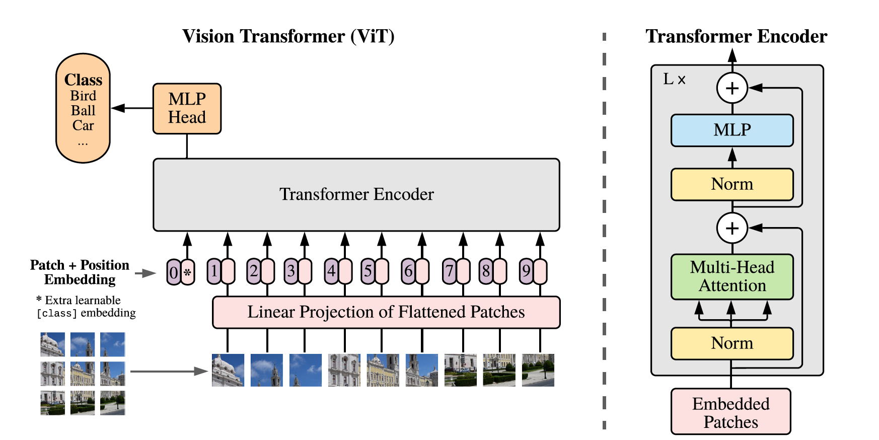 Fig. 2. ViT model overview. (Image source: Dosovitskiy et al., 2020)